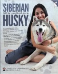 Siberian Husky : si pintar yang mudah akrab