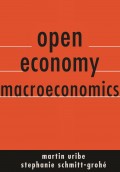 Open Economy Macroeconomy