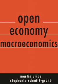 Open Economy Macroeconomy