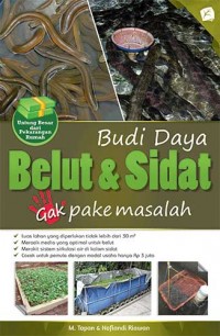 Budidaya Belut dan Sidat : gak pake masalah