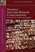 Naturally fractured reservoir characterization