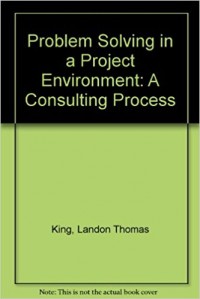 Problem Solving in a Project Environment : a consulting process