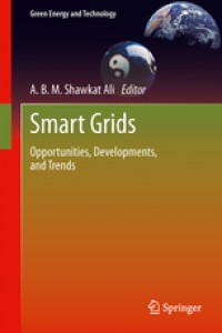 Smart Grids : opportunities, developments, and trends