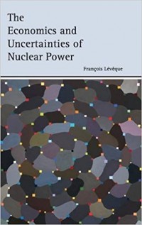 The Economics and Uncertainties of Nuclear Power