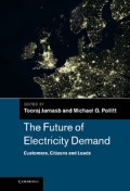 The Future of Electricity Demand : customers, citizens and loads