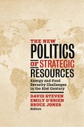 The New Politics of Strategic Resources : energy and food security challenges in the 21st century