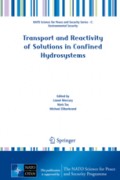 Transport and Reactivity of Solutions in Confined Hydrosystems