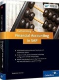 Customizing financial accounting in SAP