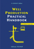 Well Production Practical Handbook