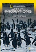 Great Migrations : need to breed [rekaman video]