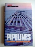 Pipelines : flowing oil and crude politics