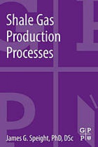 Shale Gas Production Processes