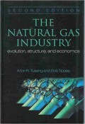 The Natural Gas Industry: evolution, structure and economics