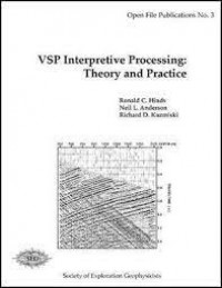 VSP Interpretive Processing : Theory and Practice