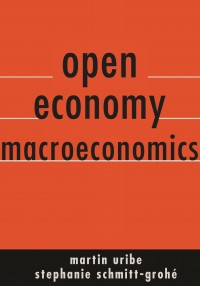 Open Economy Macroeconomy