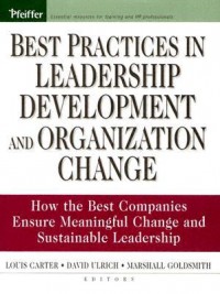 Best Practices in Leadership Development and Organization Change : how the best companies ensure meaningful change and sustainable leadership