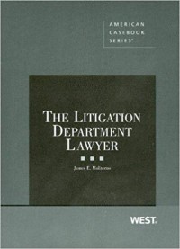 The Litigation Department Lawyer